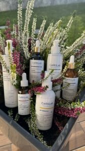 Trycholog Bydgoszcz – Milena Kwaśniewska, specjalizuję się w diagnostyce i leczeniu problemów skóry głowy oraz włosów, oferując profesjonalne konsultacje i indywidualnie dobrane terapie. Nowa 15, 85-119 Bydgoszcz https://milena-trycholog.pl CelltiLab Kosmetyki trychologiczne